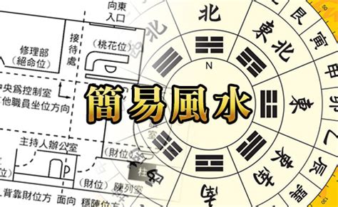 白鴿在窗外風水|MASTERSO.COM 蘇民峰命理風水網站